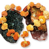 Rudraksha Perlen aus Nepal und Indonesien