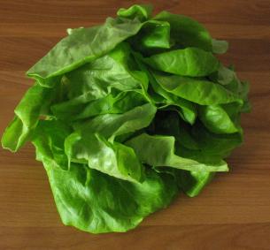 Salade verte de A à Z de commencer la cuisson