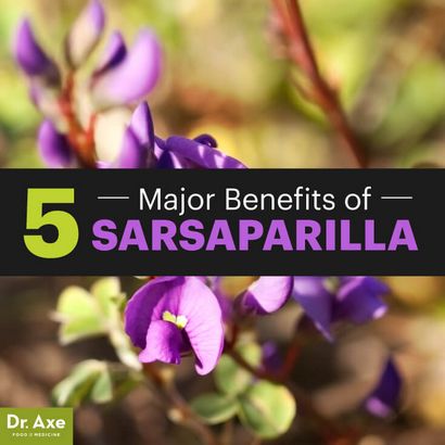 Uses Sarsaparilla, Sarsaparilla Vorteile - Sarsaparilla Rezepte - Dr