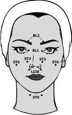 Auto Shiatsu Techniques de massage du visage, CT Esthetic