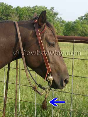 Shoo Flies pour votre cheval