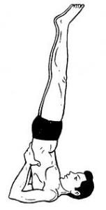 Stand épaule pose - Avantages sarvangasana, variations - Guide débutants, Yoga Vini