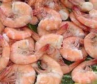 Shrimp Hinweise und Tipps, was kocht Amerika
