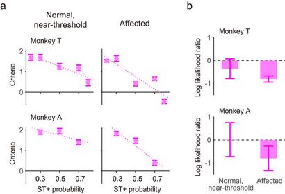 Analyse de détection du signal de Blindsight chez les singes, les rapports scientifiques