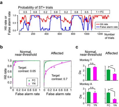 Analyse de détection du signal de Blindsight chez les singes, les rapports scientifiques