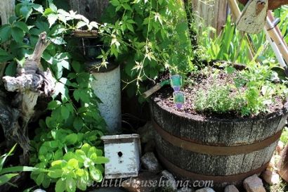 Projets simples de jardin - Facile Idées Jardin - Jardinage Simple