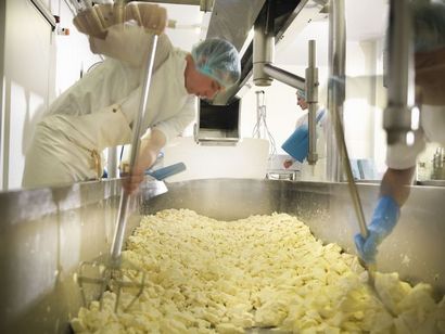 Six étapes importantes dans Cheesemaking