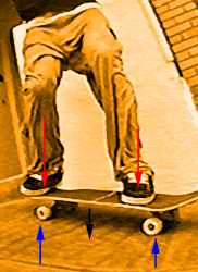 Skateboard astuces The Ollie, Exploratorium