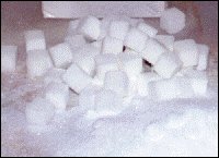 SKIL - Comment la betterave à sucre est fabriqué