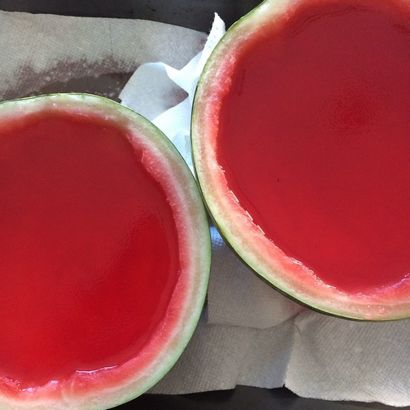 Geschnitten Watermelon Jello Shots - Positively Stacey