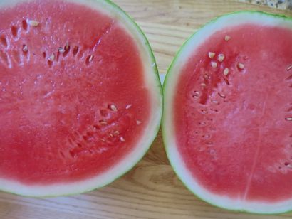 Geschnitten Watermelon Jello Shots - Positively Stacey