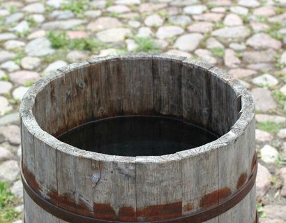 Bouteille de soda Feeder goutte à goutte pour les légumes - Facile projet de bricolage