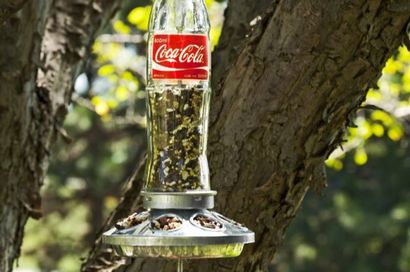Sodawasserflasche Selbst gemachter Bird Feeder - Vögel und Blüte