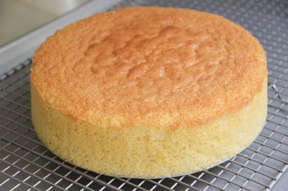 Gâteau éponge Recette - cuisine japonaise 101