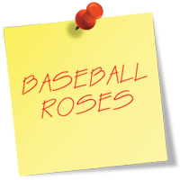 Sports - Mariages à thème Roses de base-ball pour votre mariage (mariages) Sports - Mariages à thème Roses de base-ball pour votre mariage