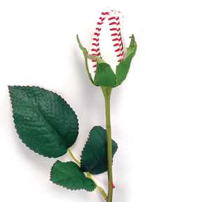Sports - Mariages à thème Roses de base-ball pour votre mariage (mariages) Sports - Mariages à thème Roses de base-ball pour votre mariage
