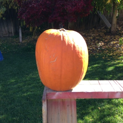 Spray Paint Pumpkins Minion pour Halloween!