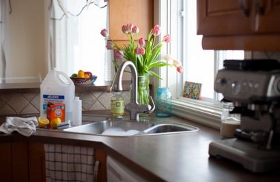 Printemps nettoyage de la cuisine (parfumée au citron maison nettoyant tout usage), Morsures simples