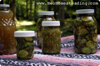 Approvisionnemet - Tablette maison stable Pickle Tutorial, NeoHomesteading