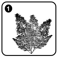 SuperTrees - Le système de fabrication de l'arbre ultime!