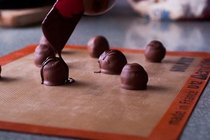 Thé infusé chocolat - Bars et Truffes, chocolat Apprenti