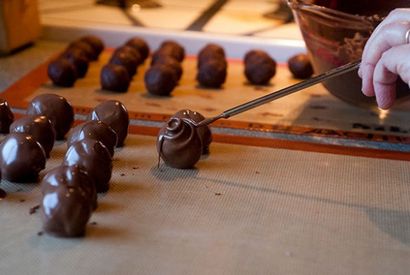 Thé infusé chocolat - Bars et Truffes, chocolat Apprenti