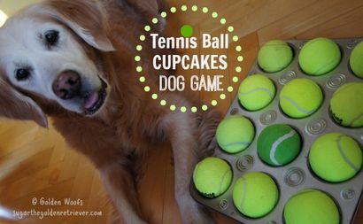 Tennisball Cupcakes Hund Spiel - Goldene Woofs
