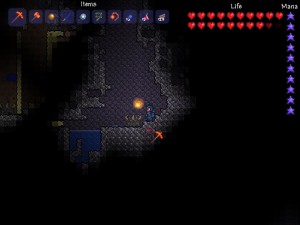 Terraria Guide des plus grandes méga terrariums Guide - Âge Nerd