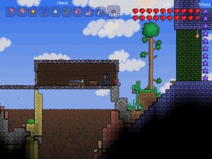 Terraria Guide des plus grandes méga terrariums Guide - Âge Nerd