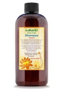 Die 4 Top Chemical Gratis Shampoo Marken sollten Sie versuchen,