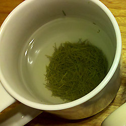 The Amazing All-Purpose Pine Needle Tea - Jardin de Dave