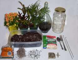 Les débutants guide pour faire une belle terrariums en une heure