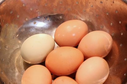 Der einfache Weg zum Peel Farm-Fresh Hard-Boiled Eggs - The Prairie Homestead