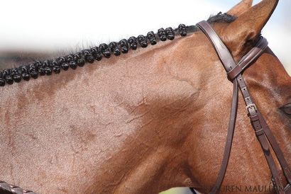 The Great Jumper Braid Debatte, zog sie nach Texas