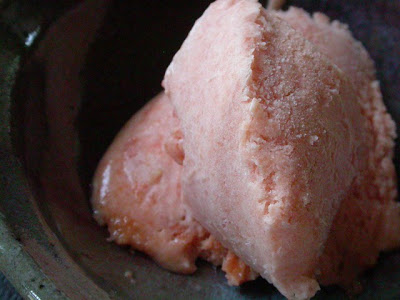 Die Opulent Opossum Mamey Sapote Ice Cream