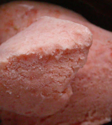 Die Opulent Opossum Mamey Sapote Ice Cream