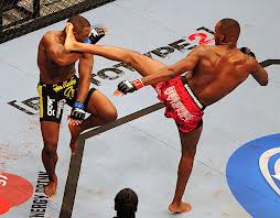 Le coup de pied et les arts martiaux traditionnels (martial) Le coup de pied et les arts martiaux traditionnels