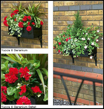 The Ultimate Guide to Hanging Baskets