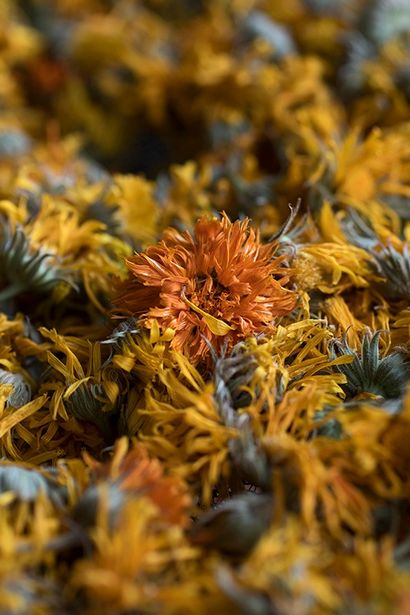 Les merveilles de Calendula (__gVirt_NP_NNS_NNPS<__ pastilles de cire d'abeille cire d'abeille) Les merveilles de Calendula