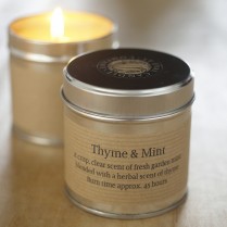 Thym - menthe parfumée Grand pot Bougie, St Eval Candle Company