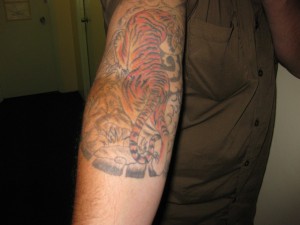 Tiger - Tatouages ​​Designs, Idées - Signification