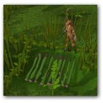 Conseils pour Pitfall Piégeage - Une chasse Runescape Méthode