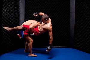 Top 20 Einreichungen in MMA