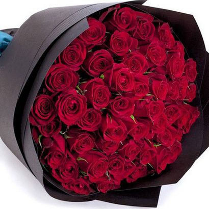 Top 25 Les plus belles roses rouges (photos de roses rouges) Top 25 Les plus belles roses rouges