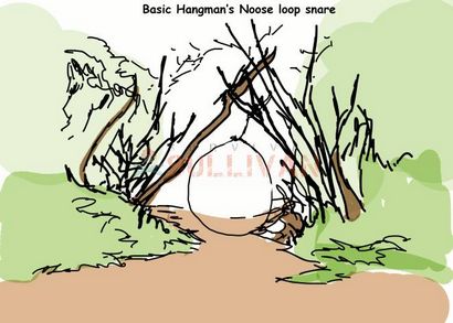 Top 3 Kaninchen Snare Traps, Überleben Sullivan (Überleben) Top 3 Kaninchen Snare-Traps, Überleben Sullivan