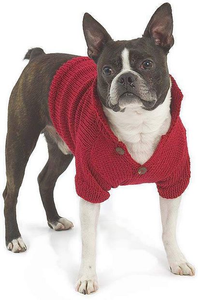 Top 5 Free Dog Pull modèles de tricot, Blog LoveKnitting