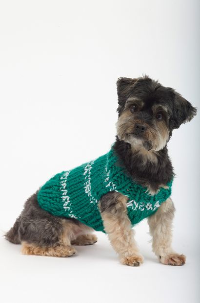 Top 5 Free Dog Pull modèles de tricot, Blog LoveKnitting