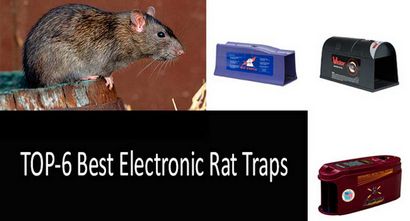 Top-6 meilleurs électroniques Piège de rat qui fonctionnent efficacement - rapidement
