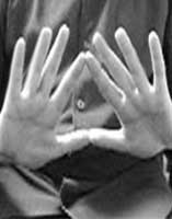 Top Ten Illuminati signes, Illuminati Rex