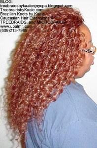 Arbre Braids- Curly Arbre Tresses, arbre droit Tresses, onduleux, Tous